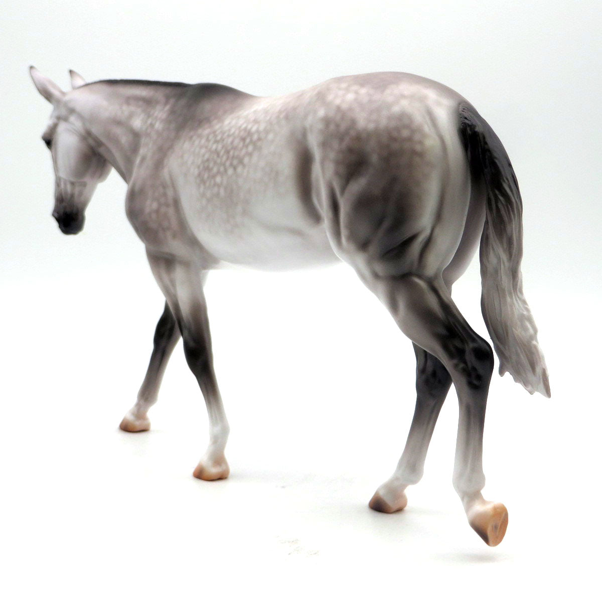 Parliament- OOAK Dapple Grey Mule Painted by Caroline Boydston 5/16/22