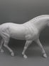 Body -Seconds Horse