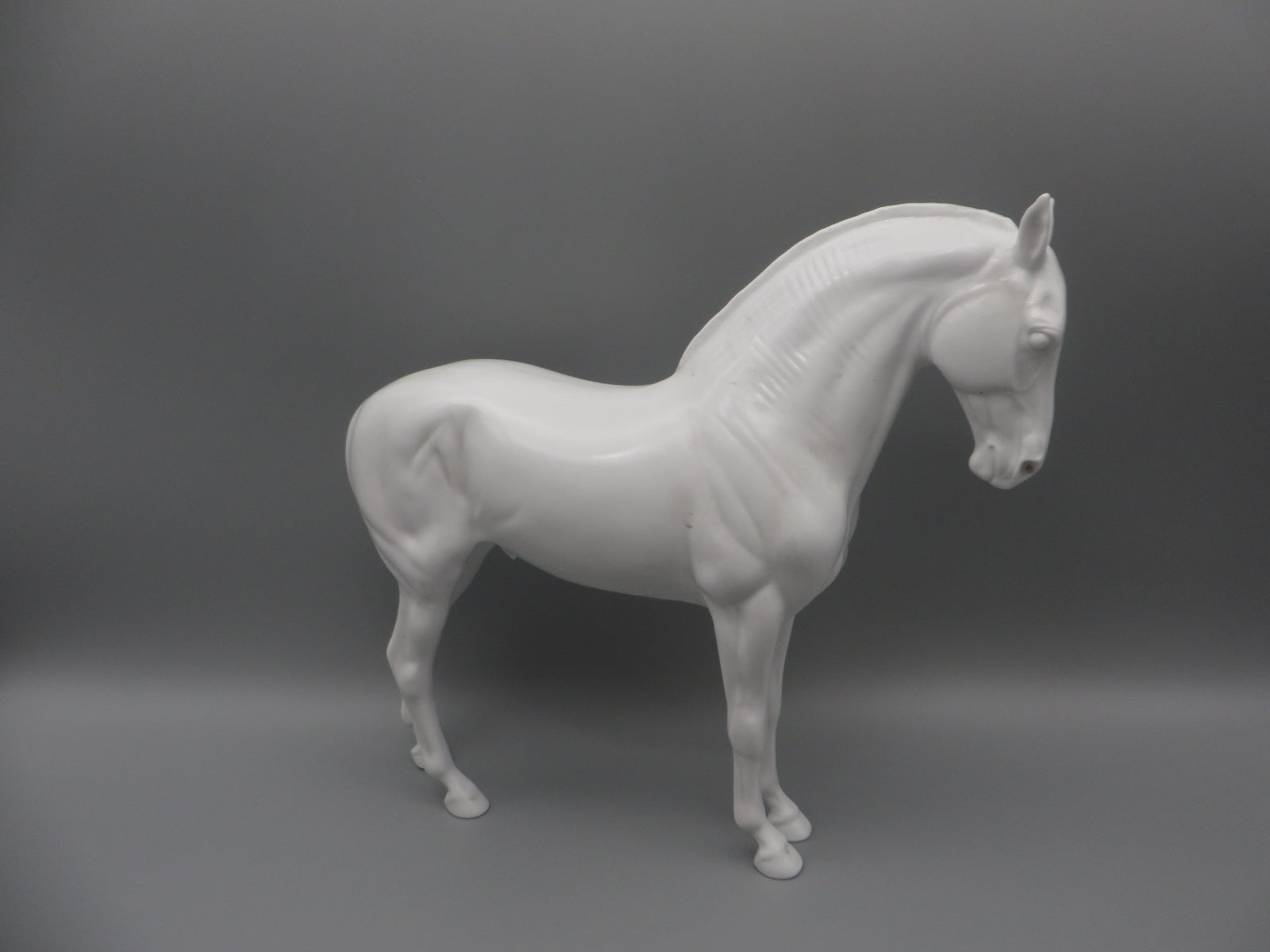 Body -Seconds Horse