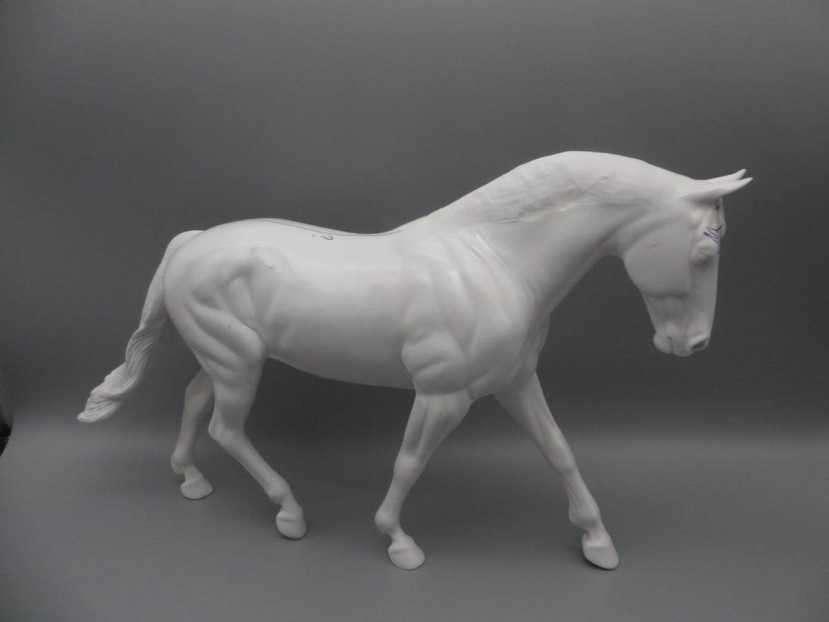 Body -Seconds Horse