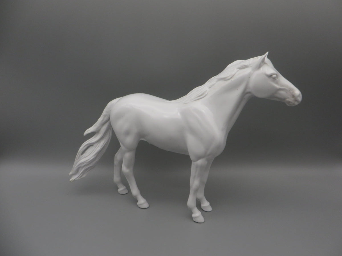 Body -Seconds Horse