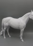 Body -Seconds Horse