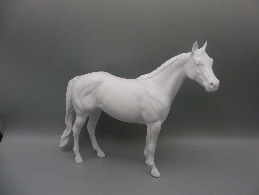 Body -Seconds Horse