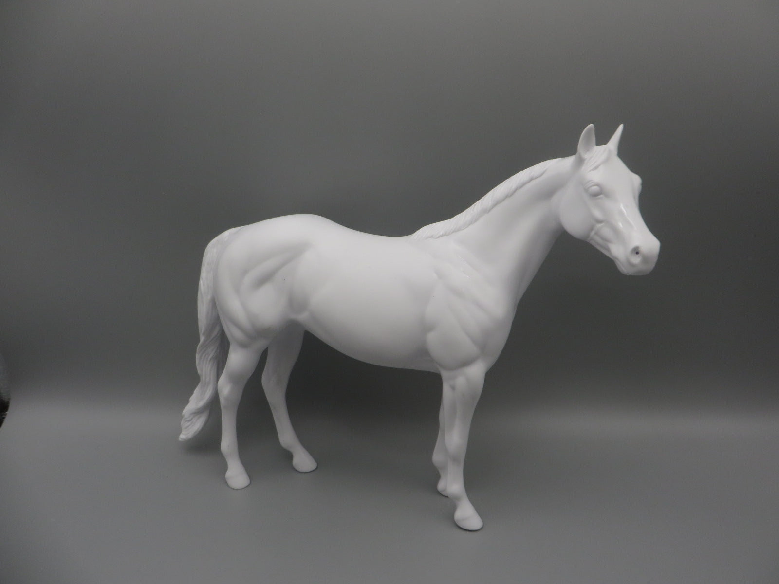 Body -Seconds Horse
