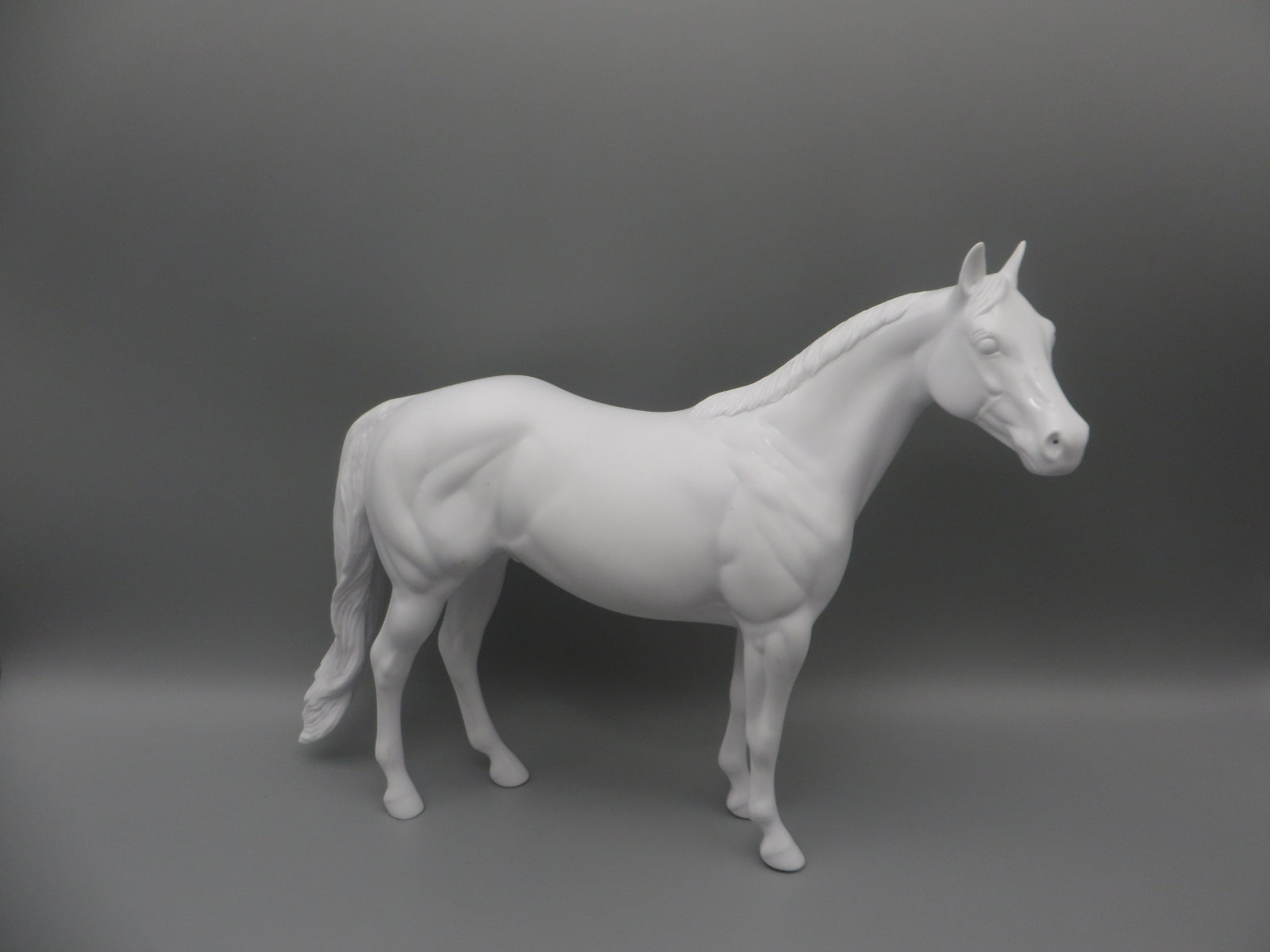 Body -Seconds Horse
