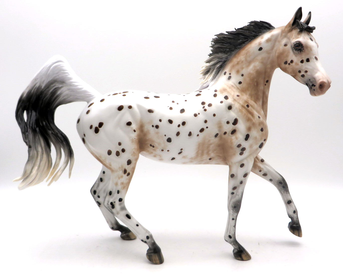 Alotta Dotta-OOAL Loud Appaloosa Arabian Painted by Sheryl Leisure 5/23/22