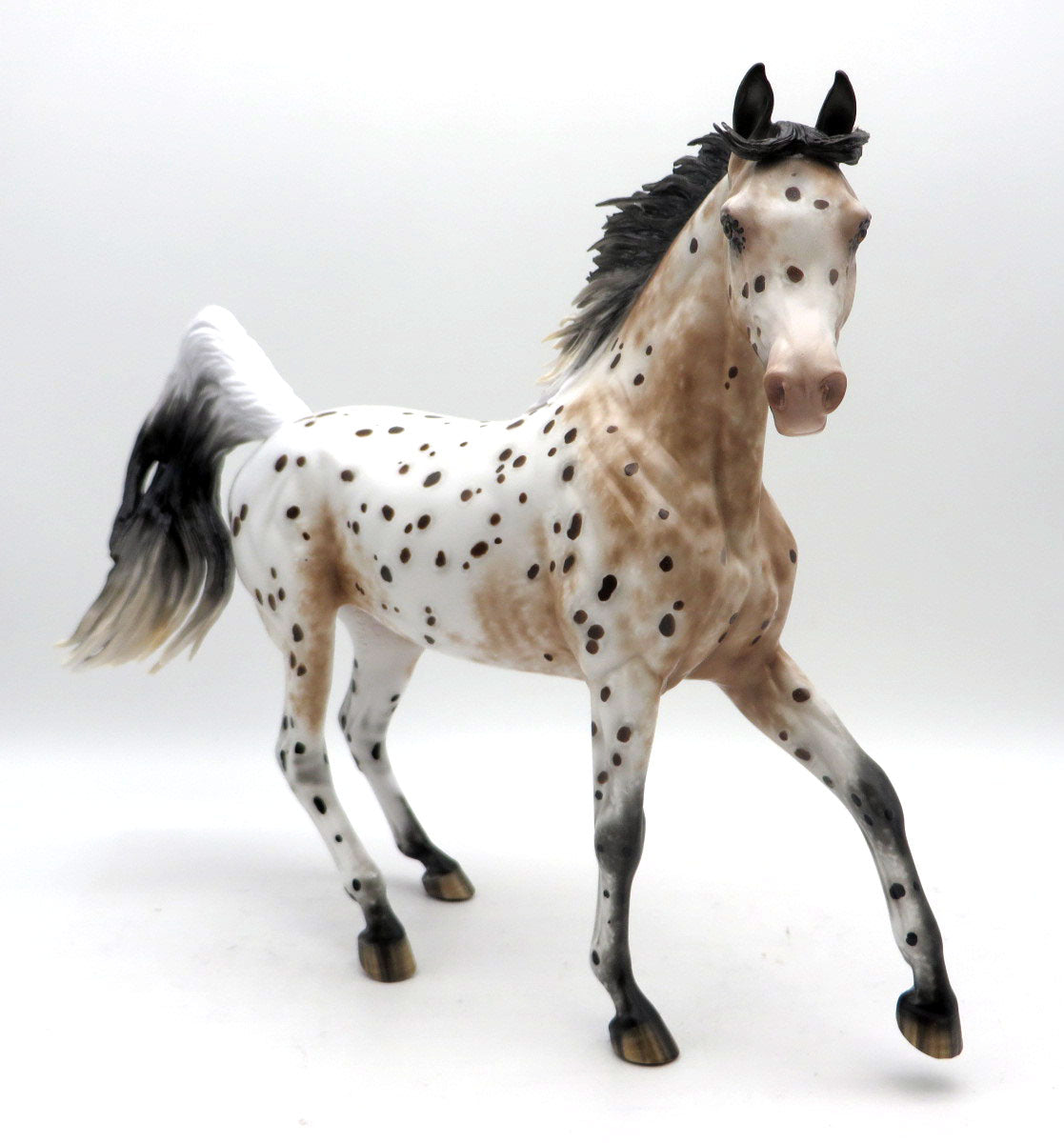Alotta Dotta-OOAL Loud Appaloosa Arabian Painted by Sheryl Leisure 5/23/22