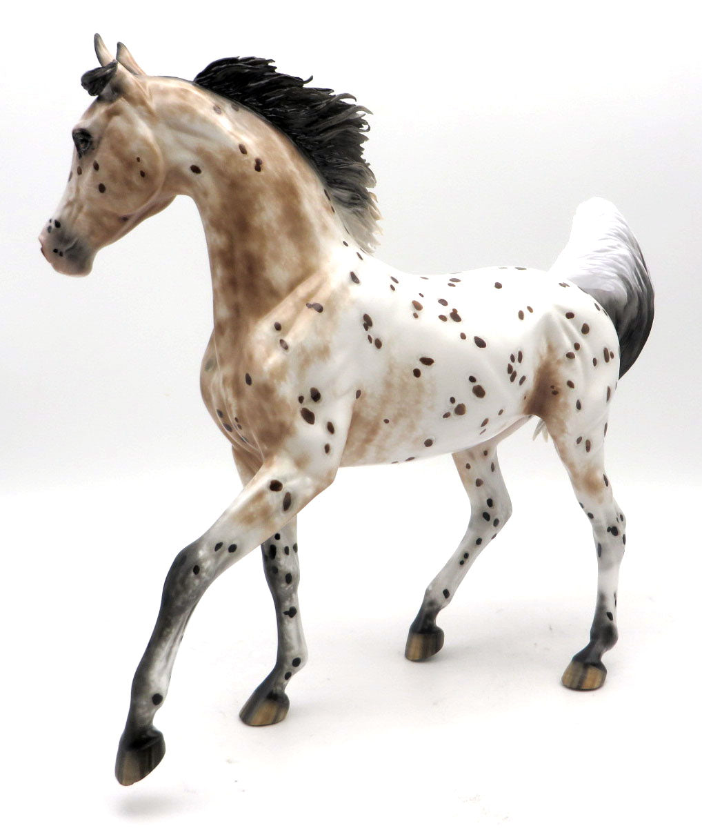 Alotta Dotta-OOAL Loud Appaloosa Arabian Painted by Sheryl Leisure 5/23/22
