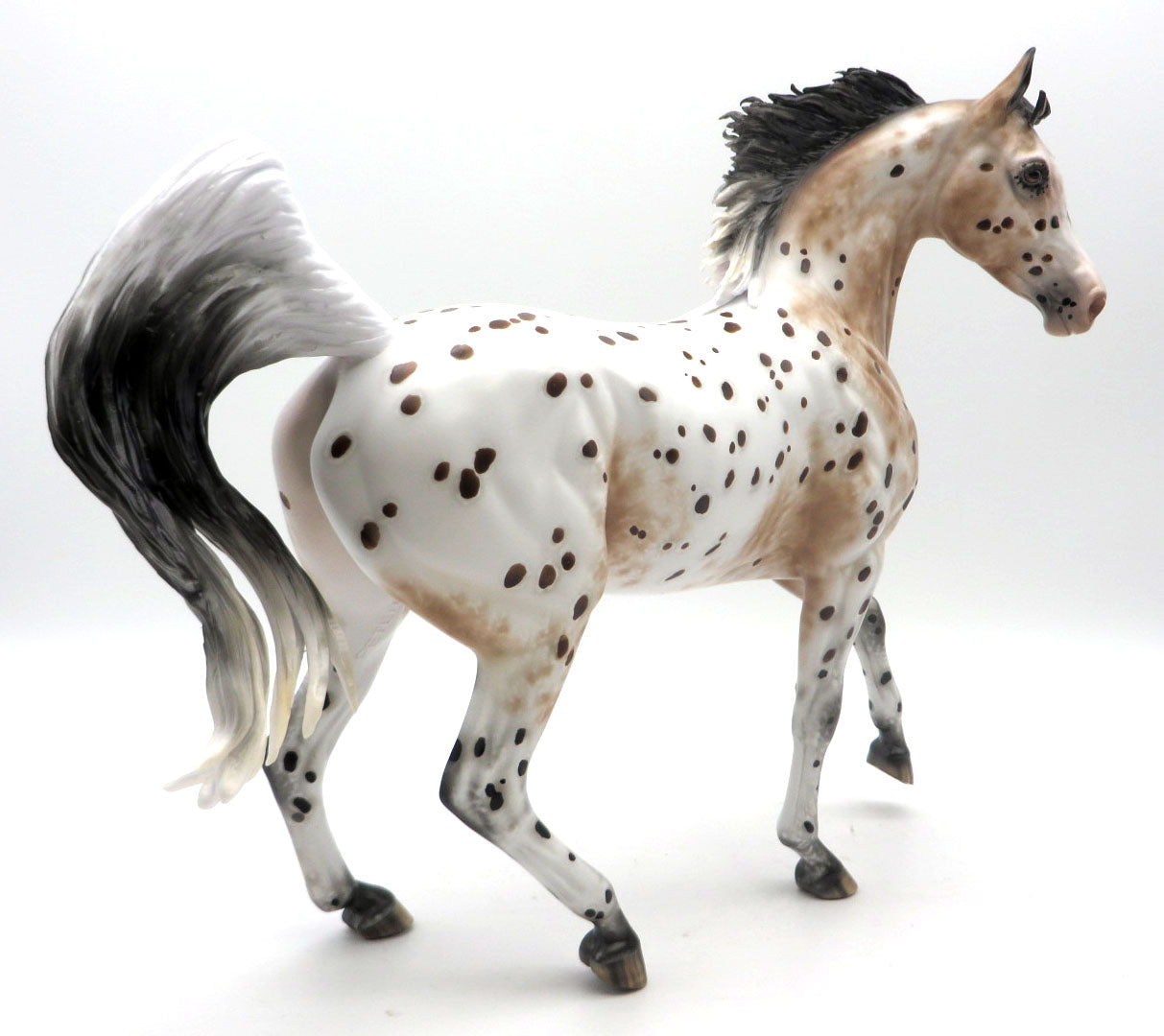 Alotta Dotta-OOAL Loud Appaloosa Arabian Painted by Sheryl Leisure 5/23/22