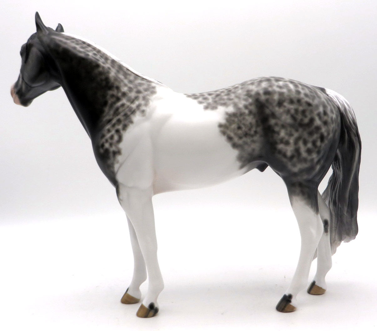 Smooth Operator-OOAK Star Dapple Grey Pinto Painted by Sheryl Leisure 5/23/22