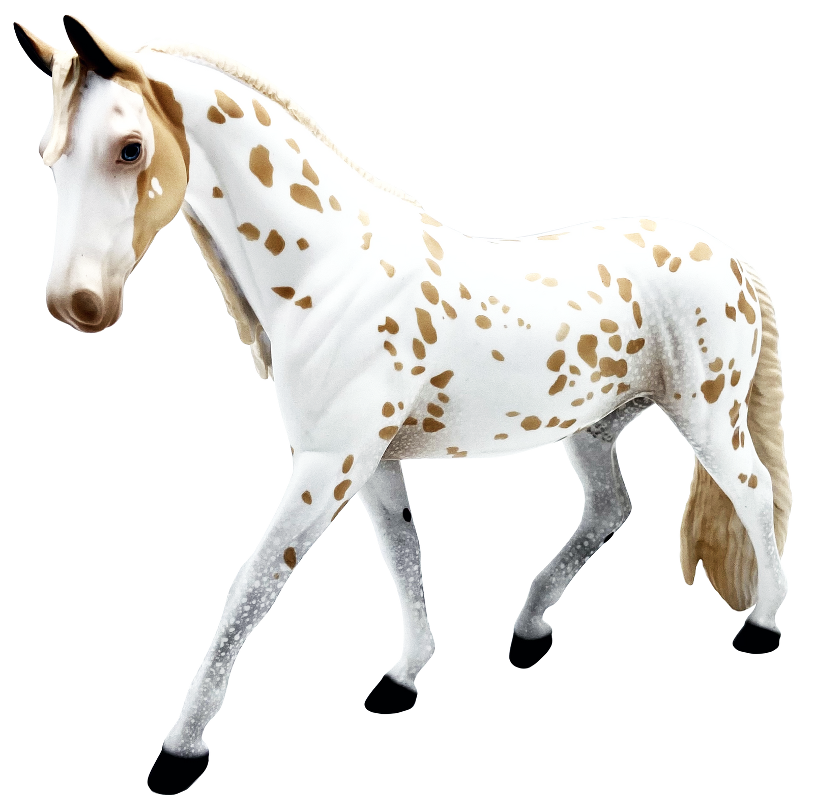 Sunflower-Le-20 Palomino Appaloosa Pony Painted By Audrey Dixon EQ 21