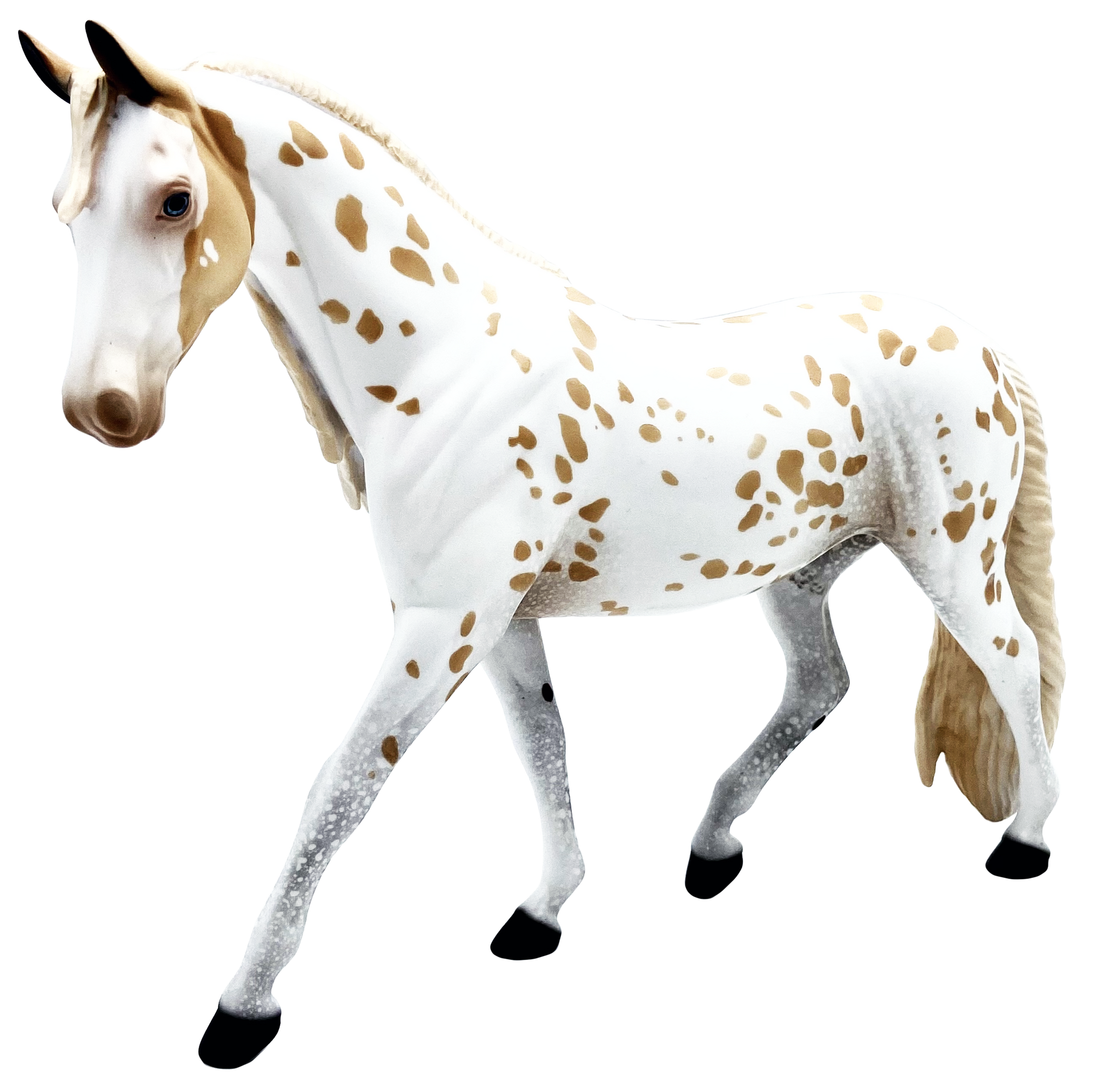 Sunflower-Le-20 Palomino Appaloosa Pony Painted By Audrey Dixon EQ 21