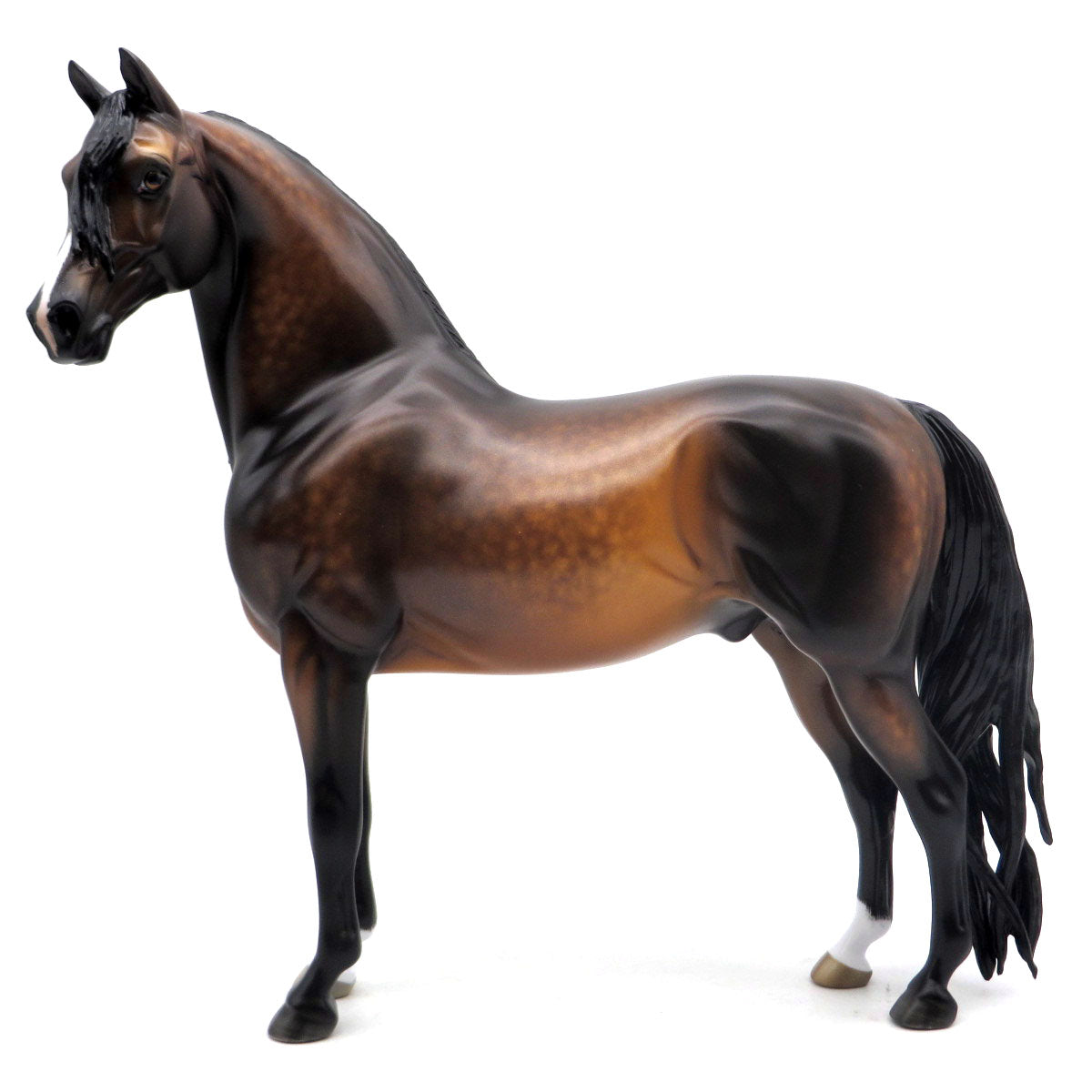 Rhett-OOAK Dapple Bay Morgan Painted by Sheryl Leisure 5/23/22