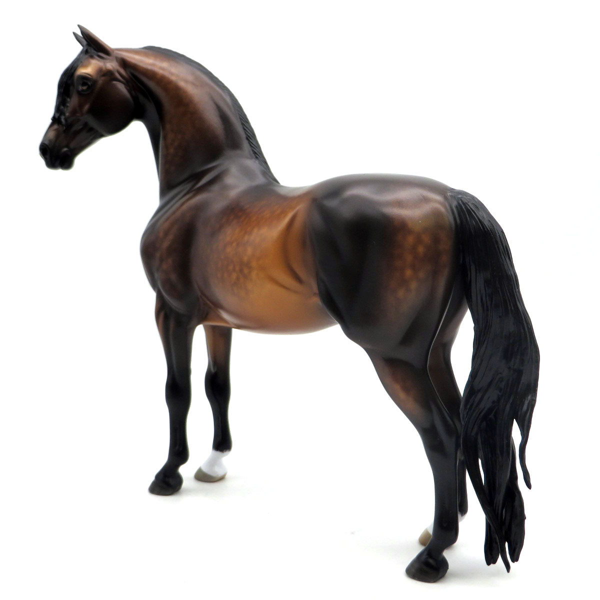 Rhett-OOAK Dapple Bay Morgan Painted by Sheryl Leisure 5/23/22