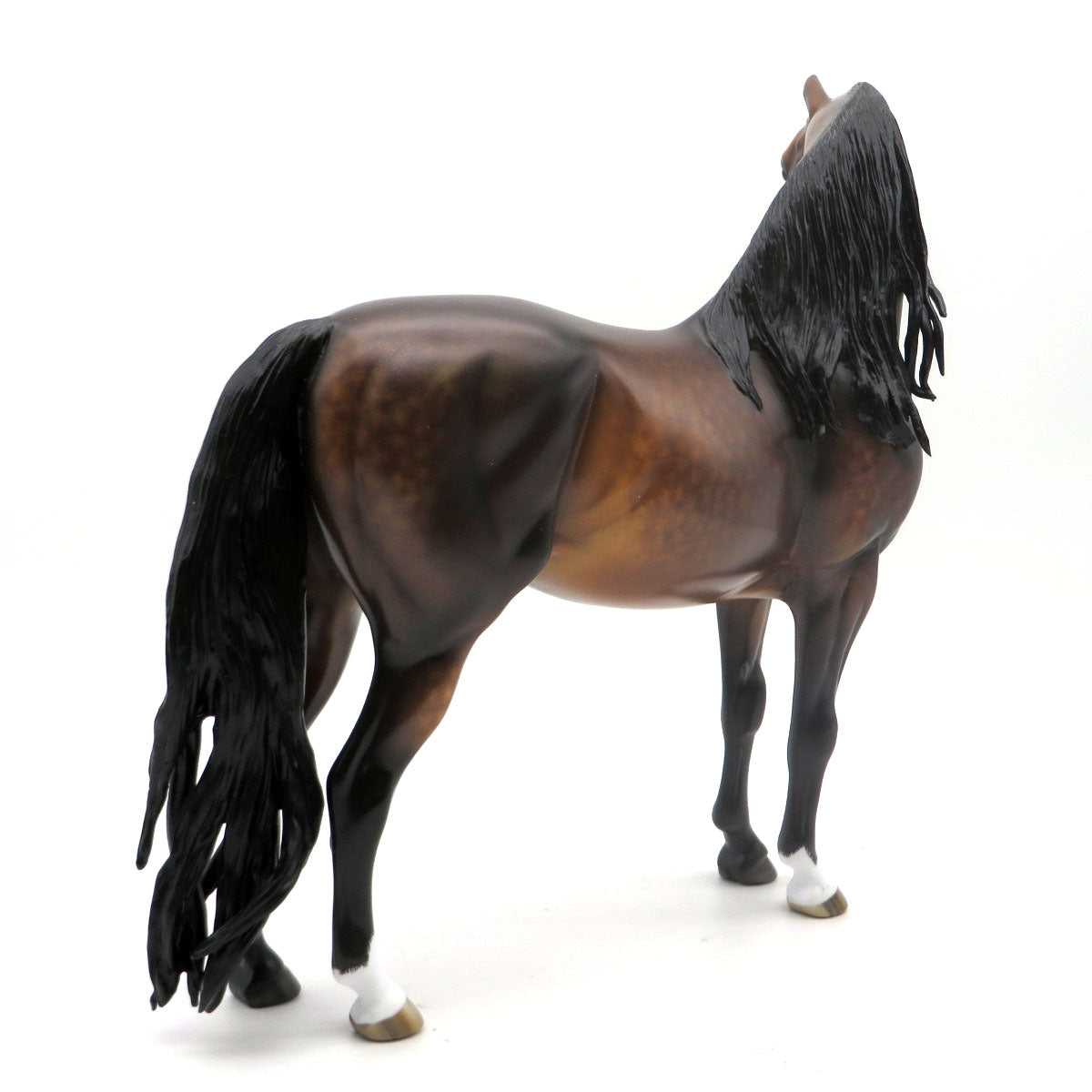 Rhett-OOAK Dapple Bay Morgan Painted by Sheryl Leisure 5/23/22