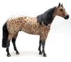 Apollo - BO Ideal Stock Horse by Sheryl Leisure