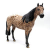 Apollo - BO Ideal Stock Horse by Sheryl Leisure