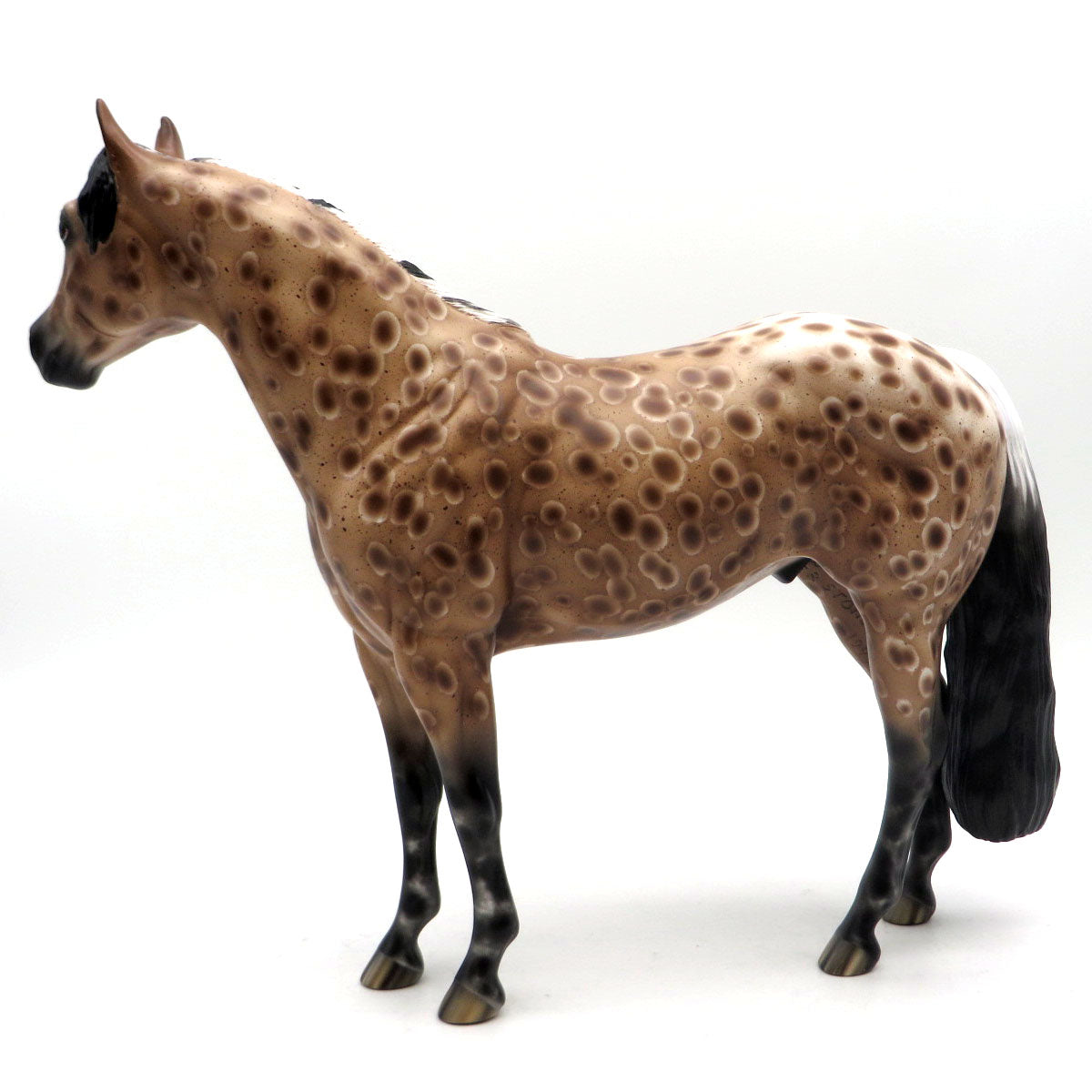 Apollo - BO Ideal Stock Horse by Sheryl Leisure