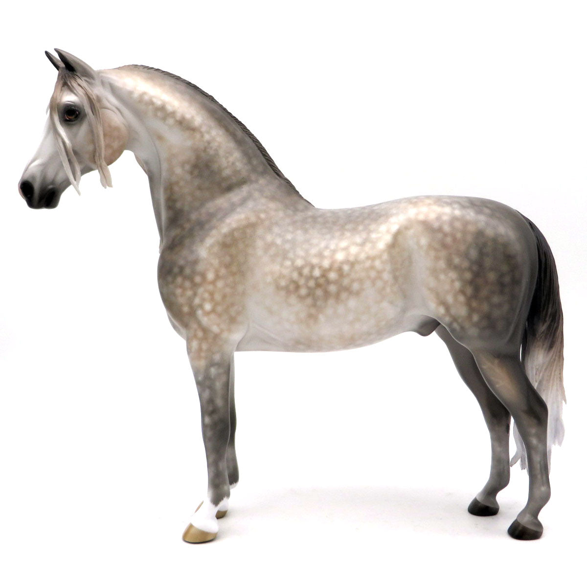 Poseidon - BO Morgan by Sheryl Leisure