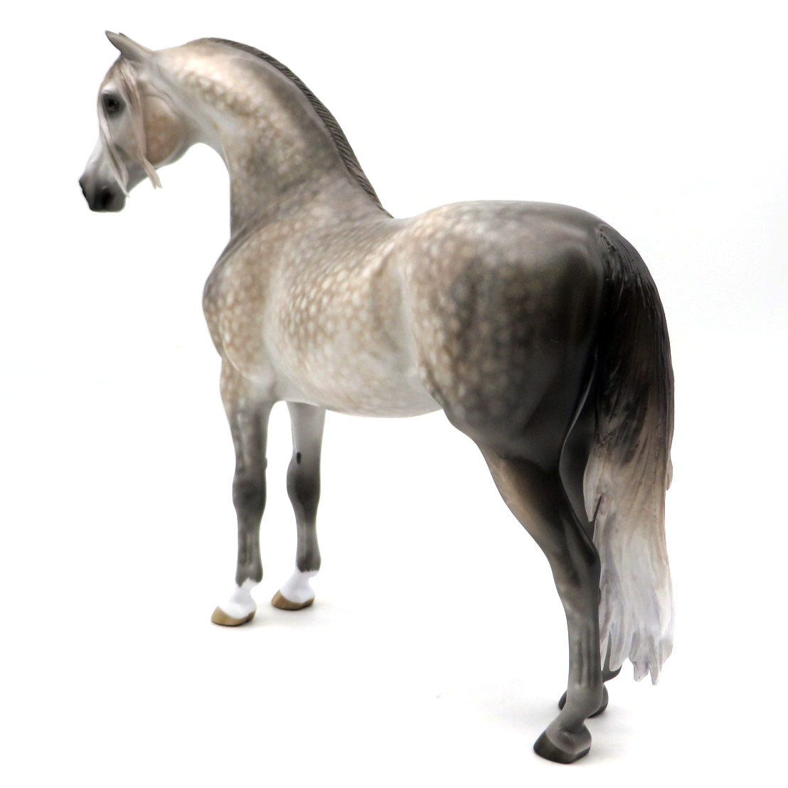 Poseidon - BO Morgan by Sheryl Leisure