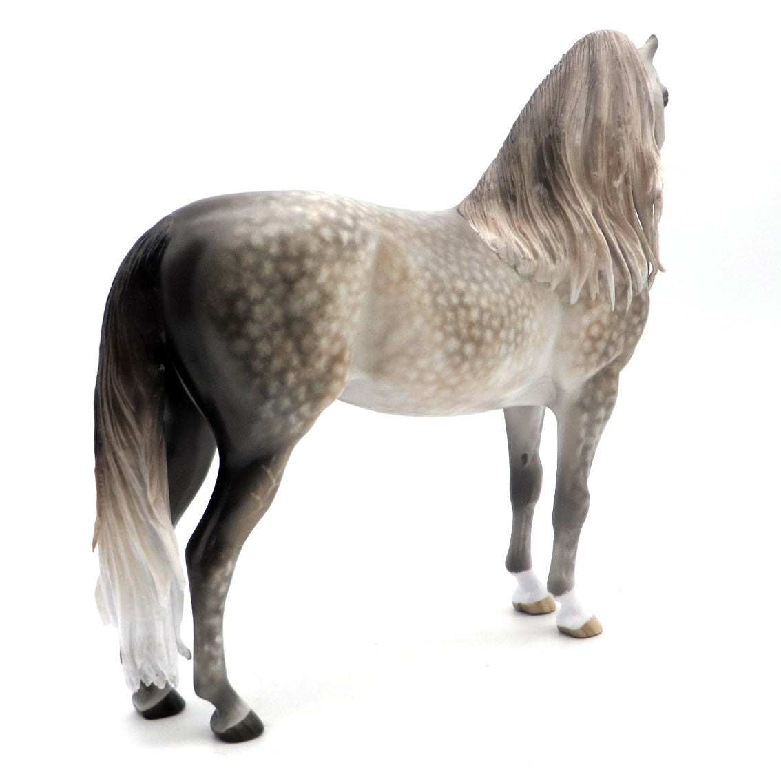 Poseidon - BO Morgan by Sheryl Leisure