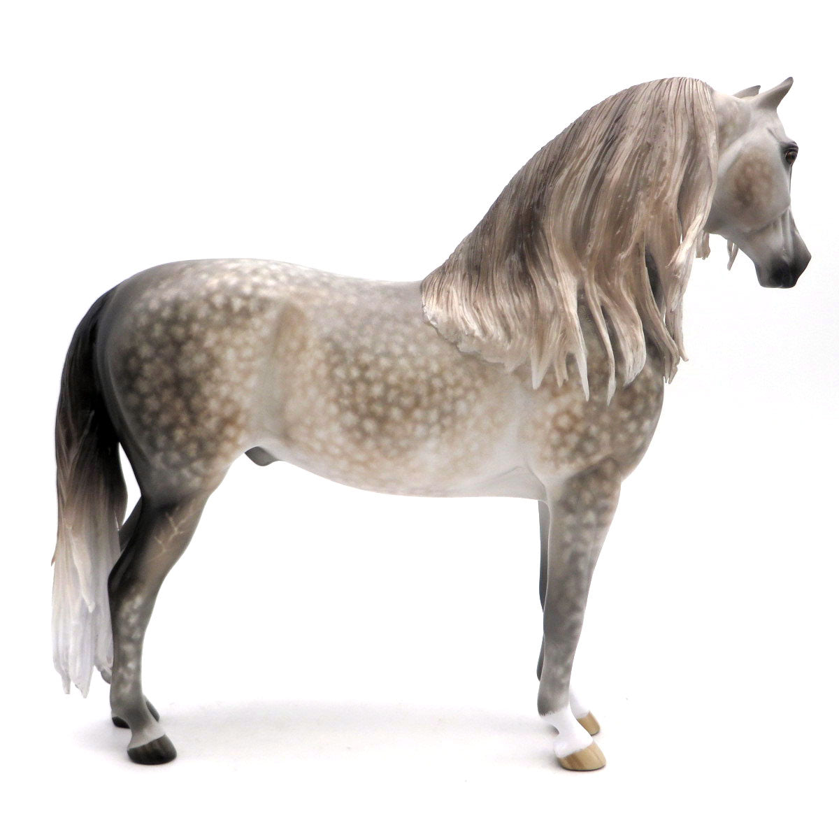 Poseidon - BO Morgan by Sheryl Leisure