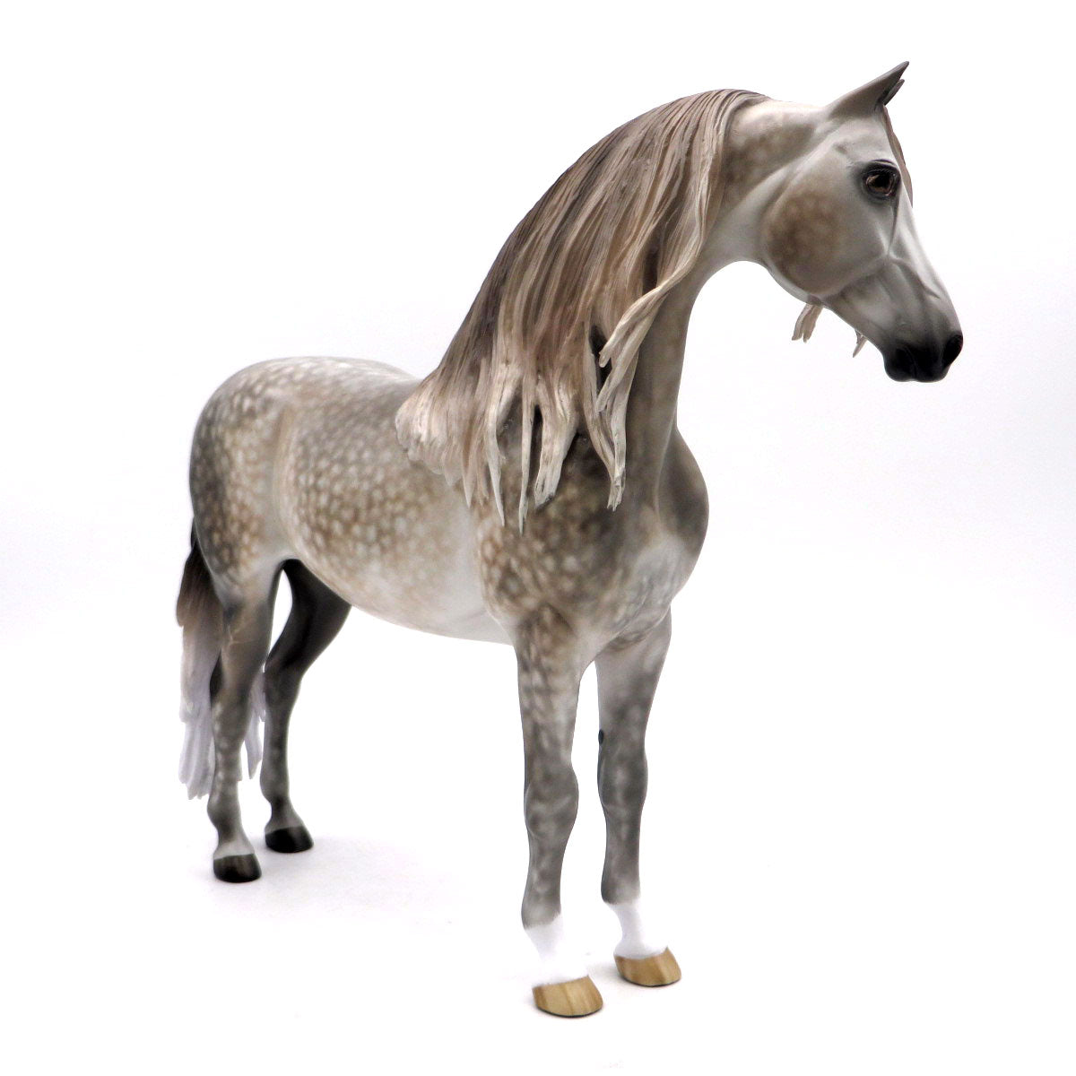 Poseidon - BO Morgan by Sheryl Leisure