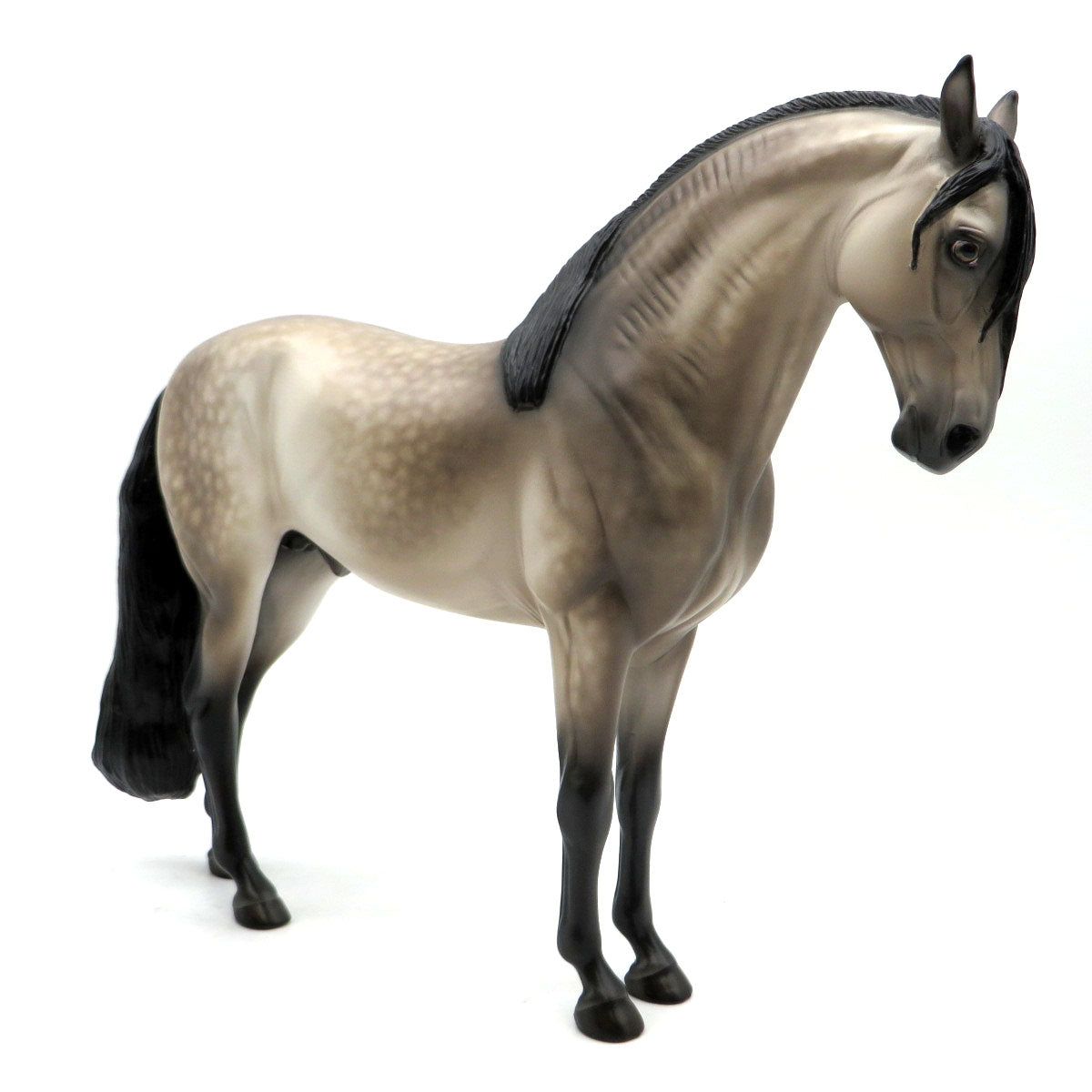 Heracles-OOAK Buckskin Andalusian Painted by Sheryl Leisure 6/6/22