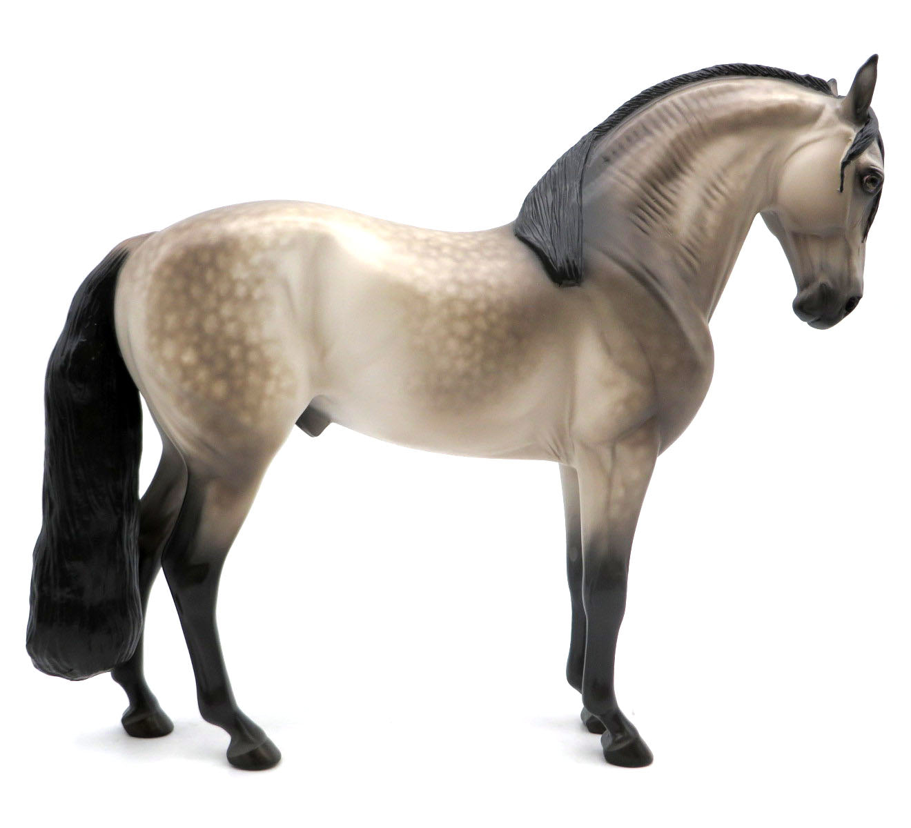 Heracles-OOAK Buckskin Andalusian Painted by Sheryl Leisure 6/6/22