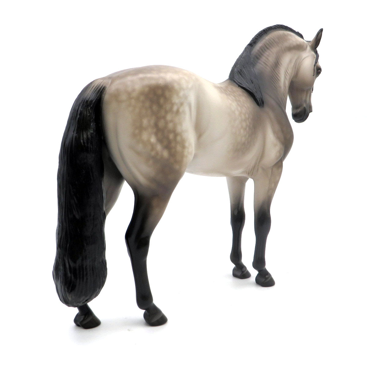 Heracles-OOAK Buckskin Andalusian Painted by Sheryl Leisure 6/6/22