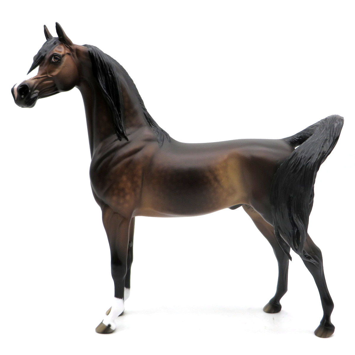 Janus-OOAK Dapple Bay Arabian Painted by Sheryl Leisure 6/6/22