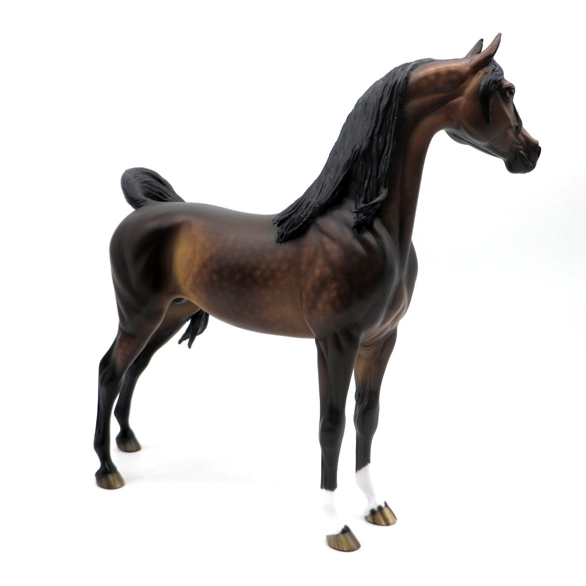 Janus-OOAK Dapple Bay Arabian Painted by Sheryl Leisure 6/6/22