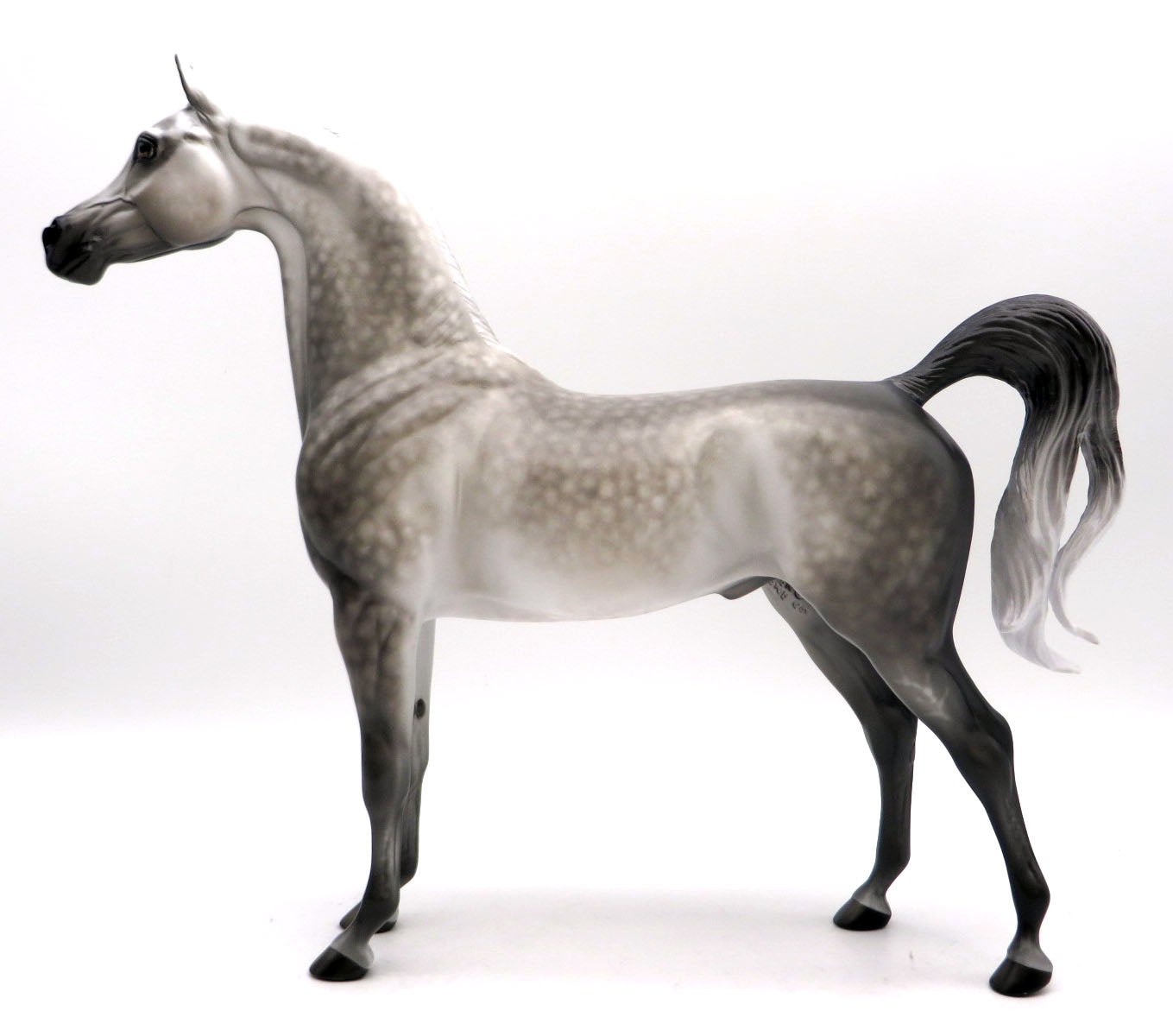 Neptune-OOAK Dapple Grey Arabian Painted by Sheryl Leisure 6/6/22