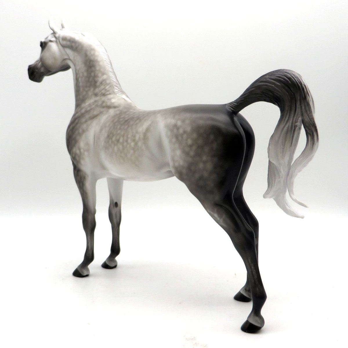 Neptune-OOAK Dapple Grey Arabian Painted by Sheryl Leisure 6/6/22