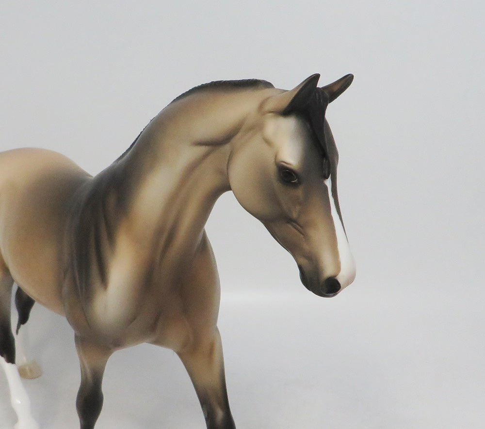DEPUTY -OOAK SOOTY BUCKSKIN DAPPLE PONY MODEL BY DAWN QUICK 9/7/2018