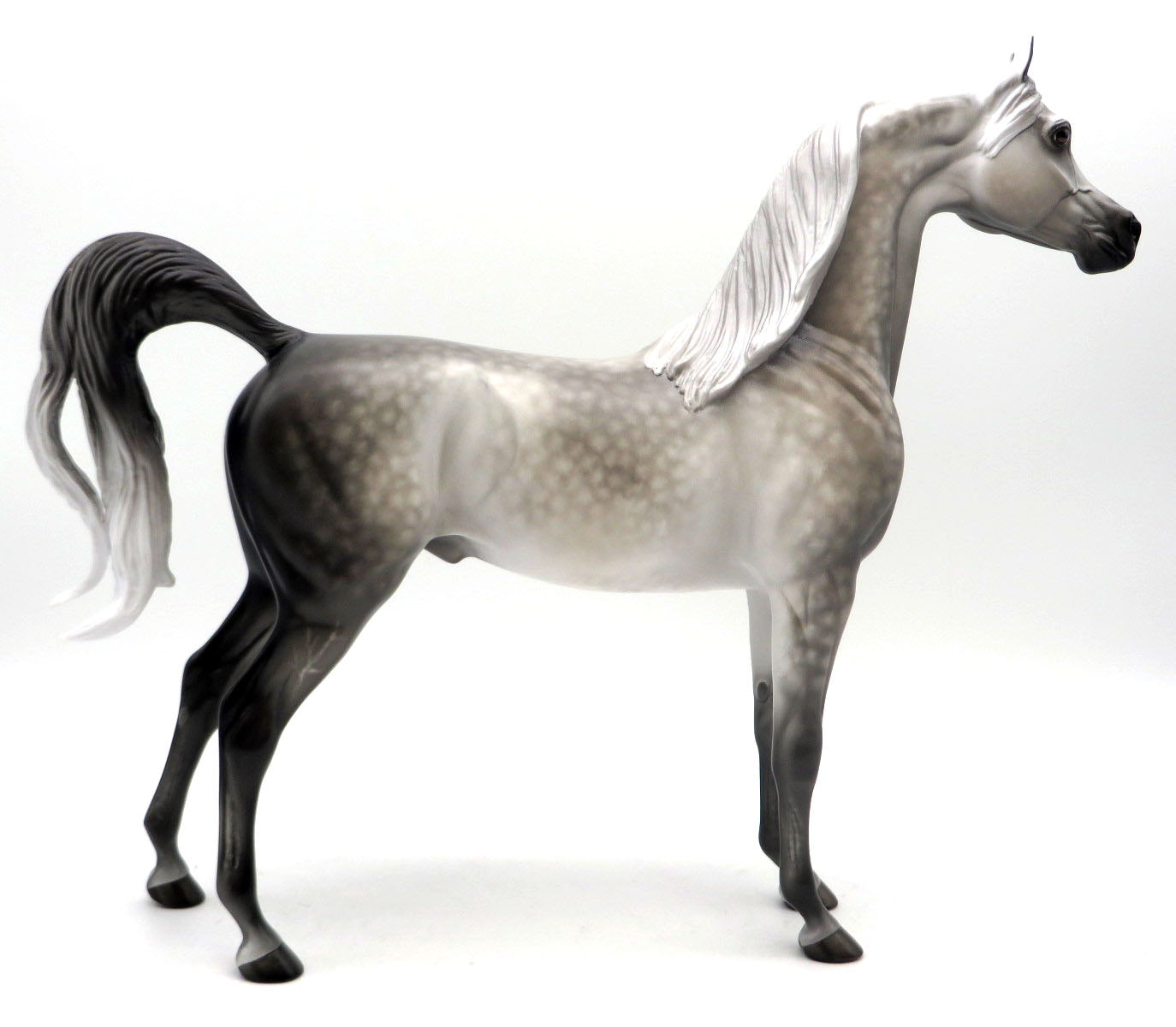 Neptune-OOAK Dapple Grey Arabian Painted by Sheryl Leisure 6/6/22
