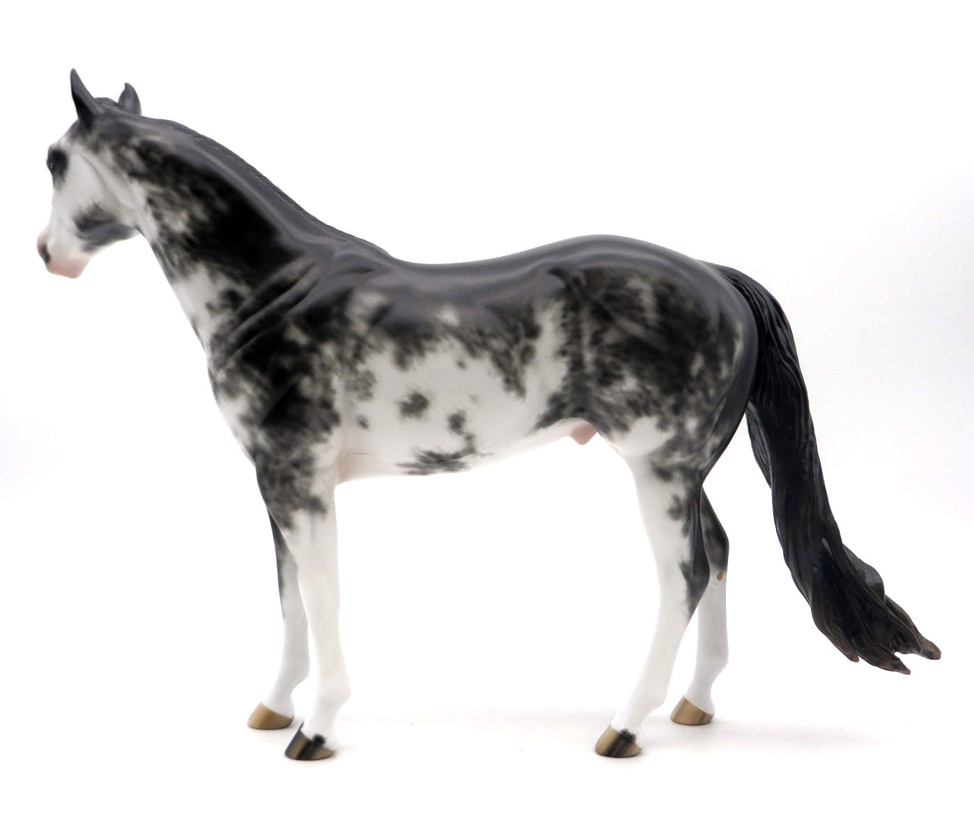 Jupiter-OOAK Black Sabino ISH Painted by Sheryl Leisure 6/6/22