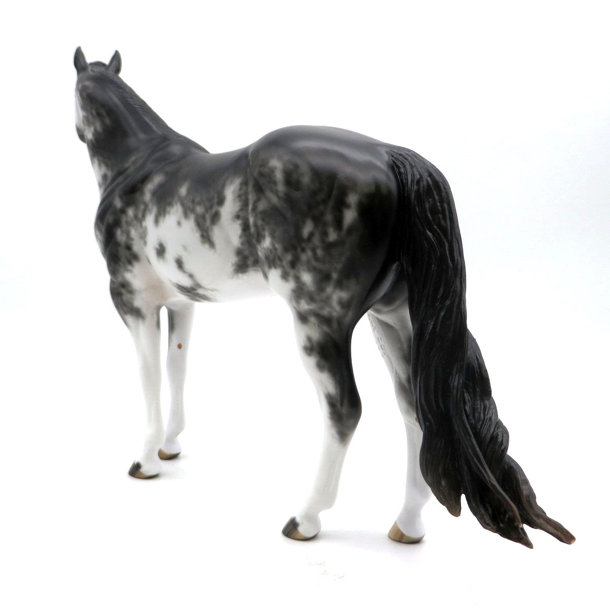 Jupiter-OOAK Black Sabino ISH Painted by Sheryl Leisure 6/6/22