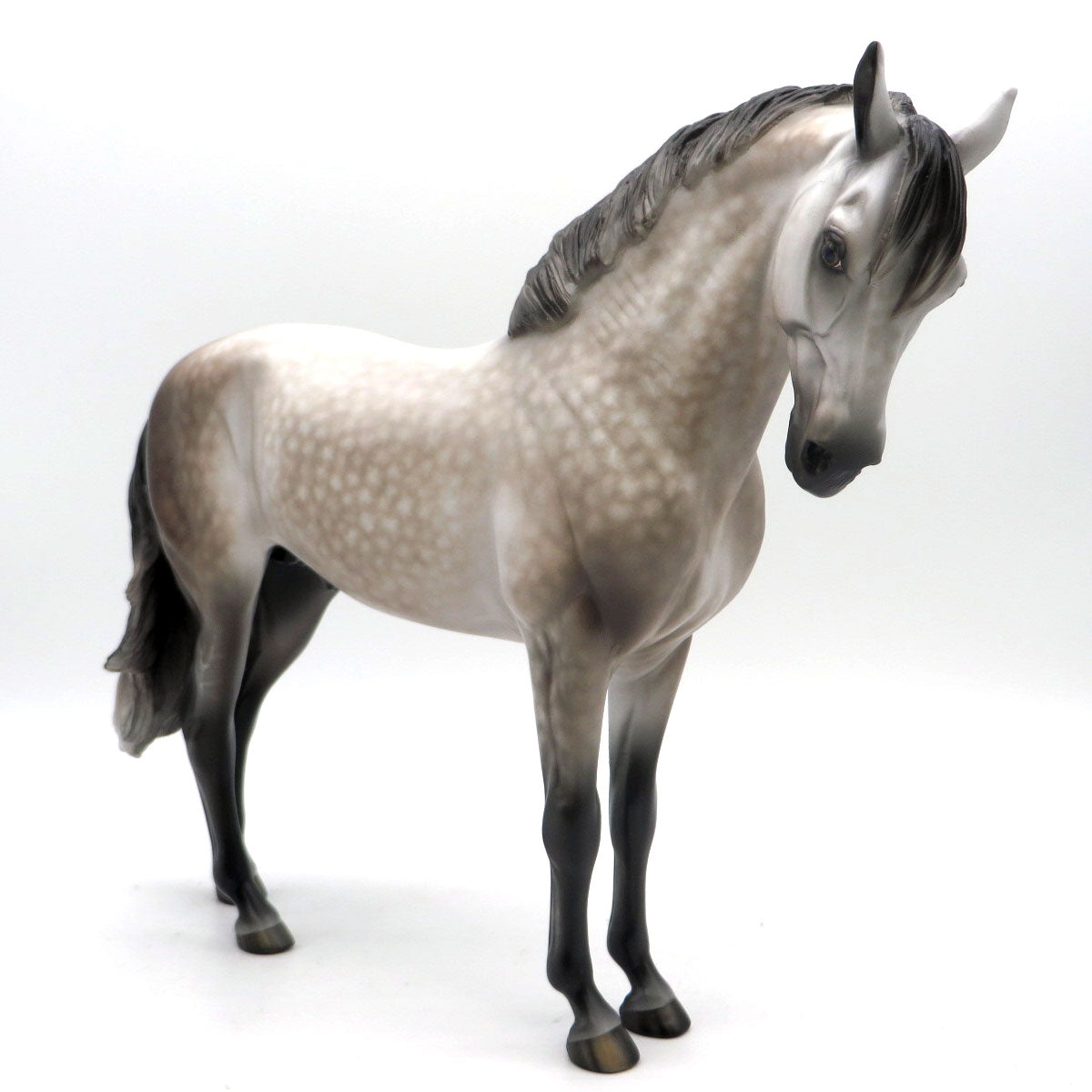 Faunus-OOAK Dapple Grey Andalusian Painted by Sheryl Leisure 6/6/22