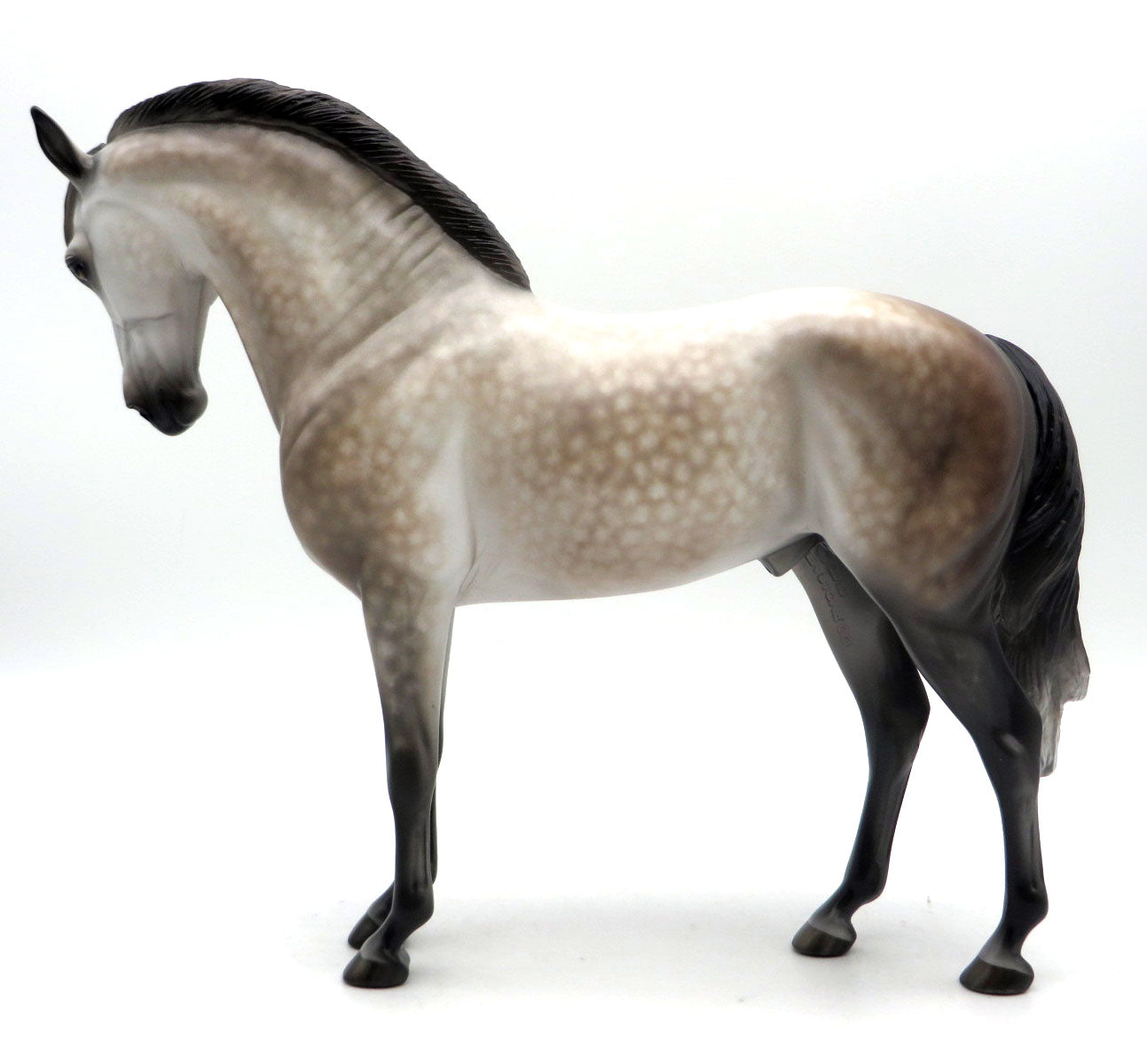 Faunus-OOAK Dapple Grey Andalusian Painted by Sheryl Leisure 6/6/22