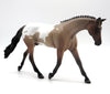 Icarus - OOAK Bay Roan Pebbles Warmblood EQ 22