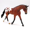 Hector - OOAK Bay Appaloosa Pebbles Warmblood EQ 22