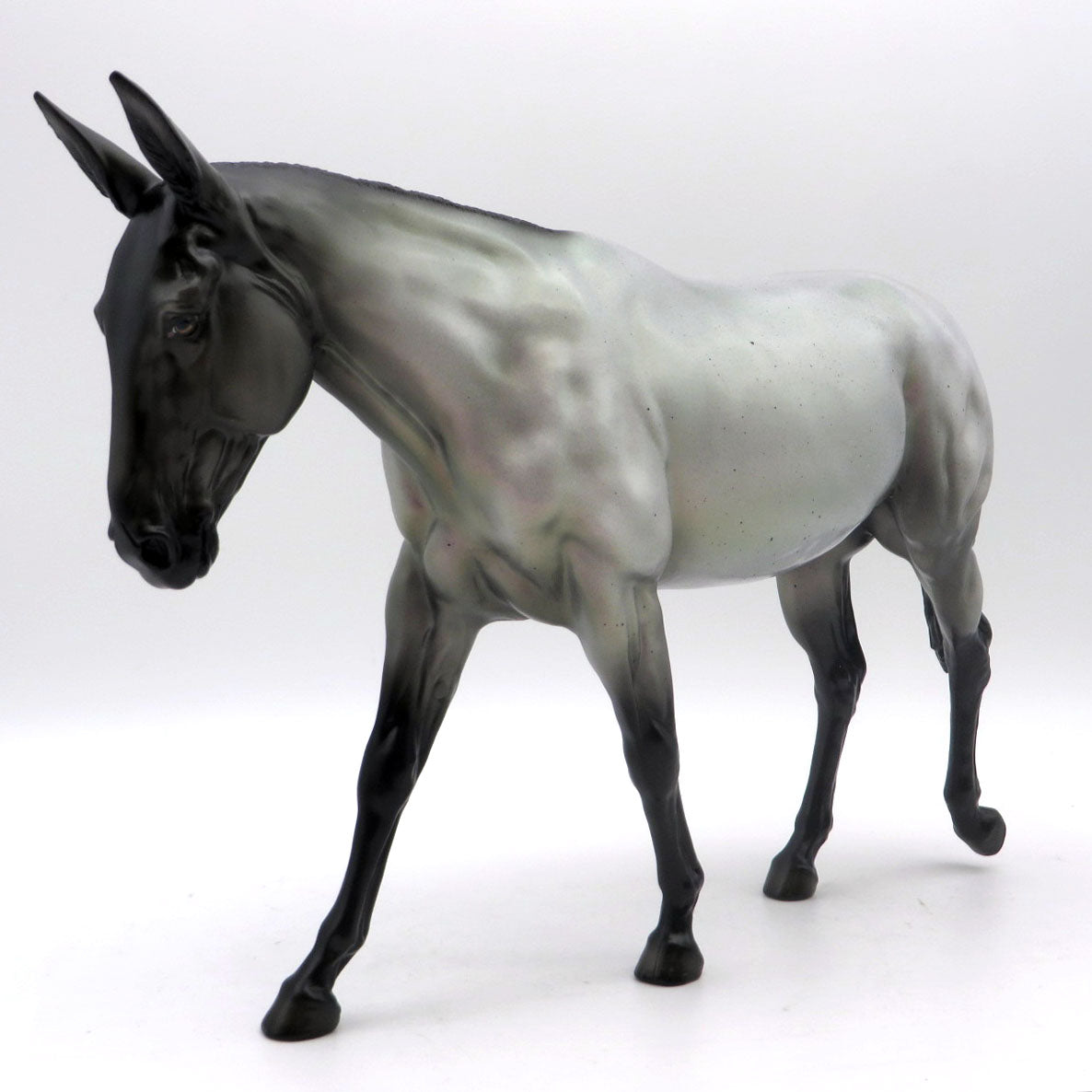 Thyana - OOAK Blue Roan Mule - EQ 22