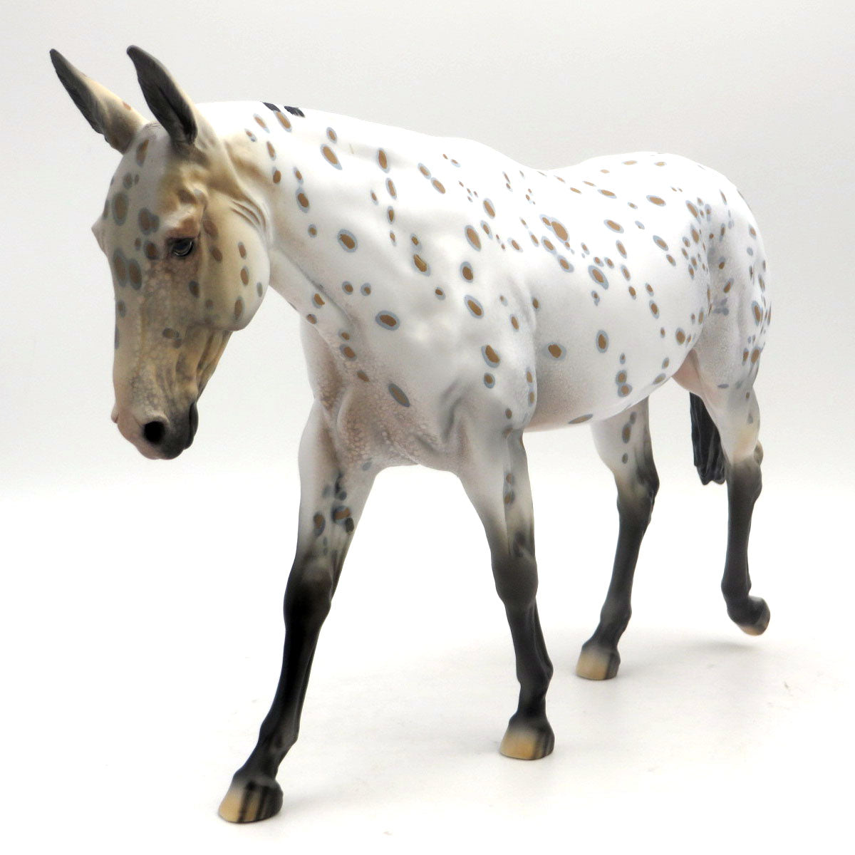 Nerine - OOAK Loud Appaloosa Mule  - EQ 22