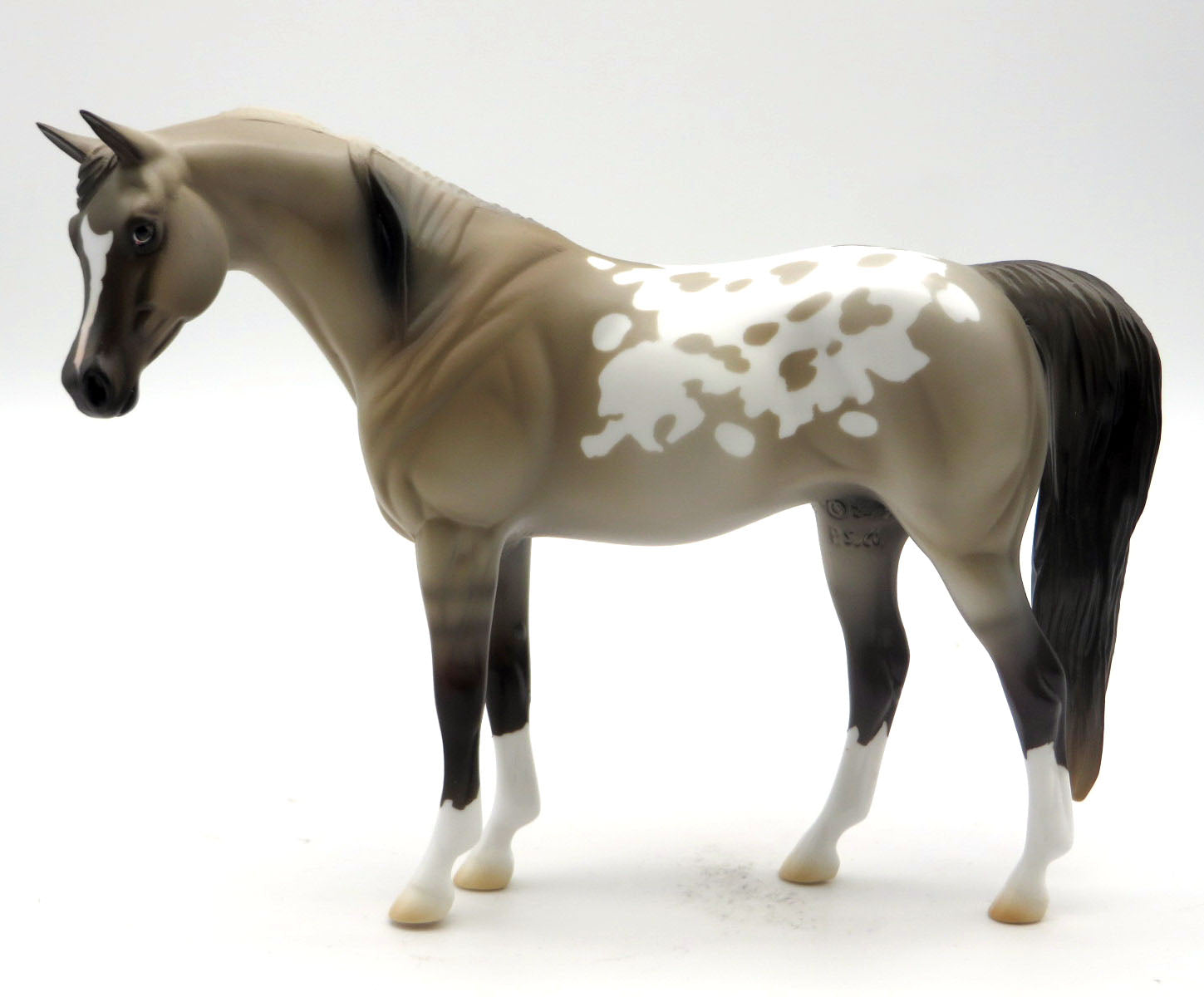 Lady G-OOAK Buckskin Appaloosa Pebbles EQ 22