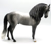 Ko ko Pop-OOAK Dapple Grey Andalusian Painted by Sheryl Leisure 6/13/22