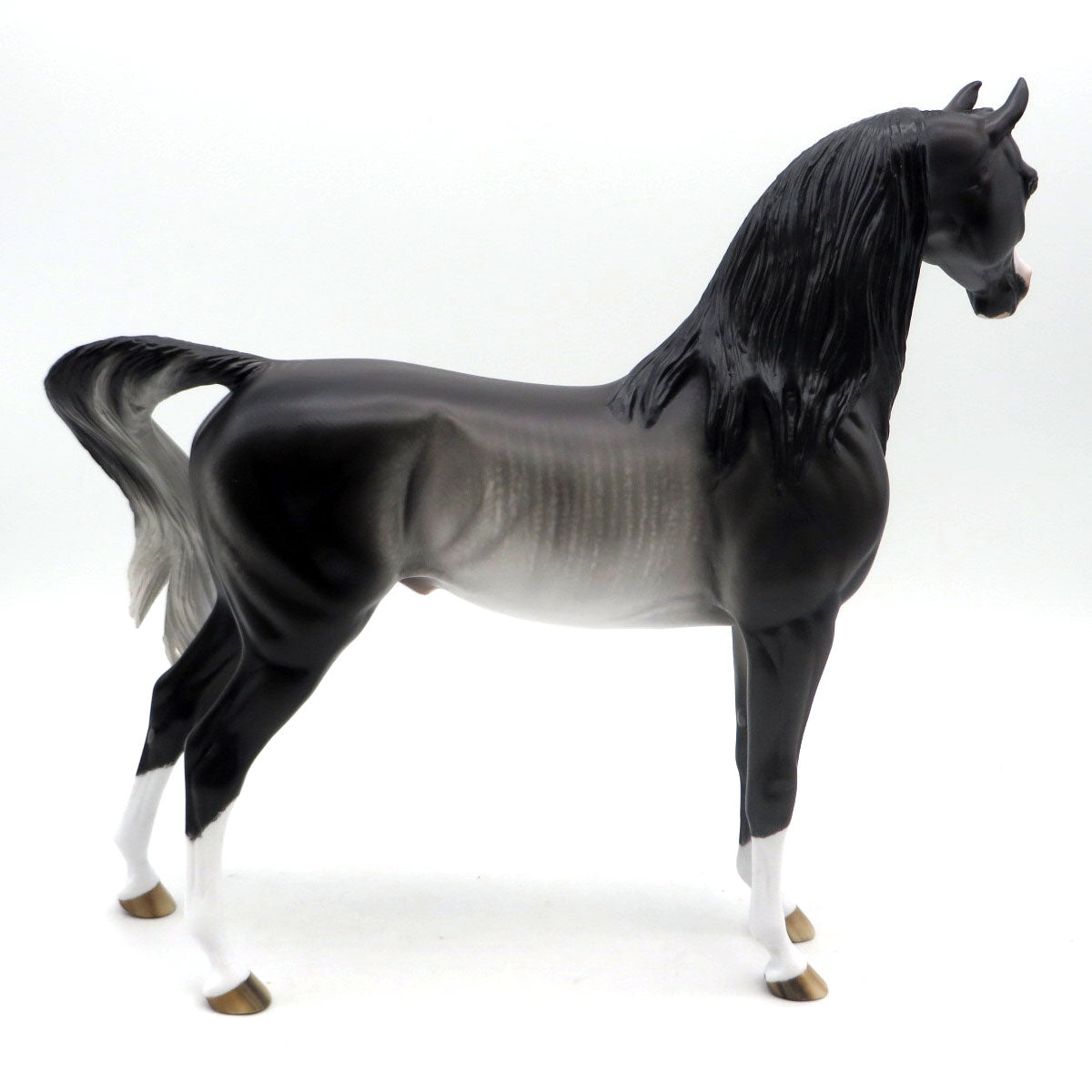 He&#39;s So Fine-OOAK Rabicano Arabian Painted by Sheryl Leisure 6/13/22