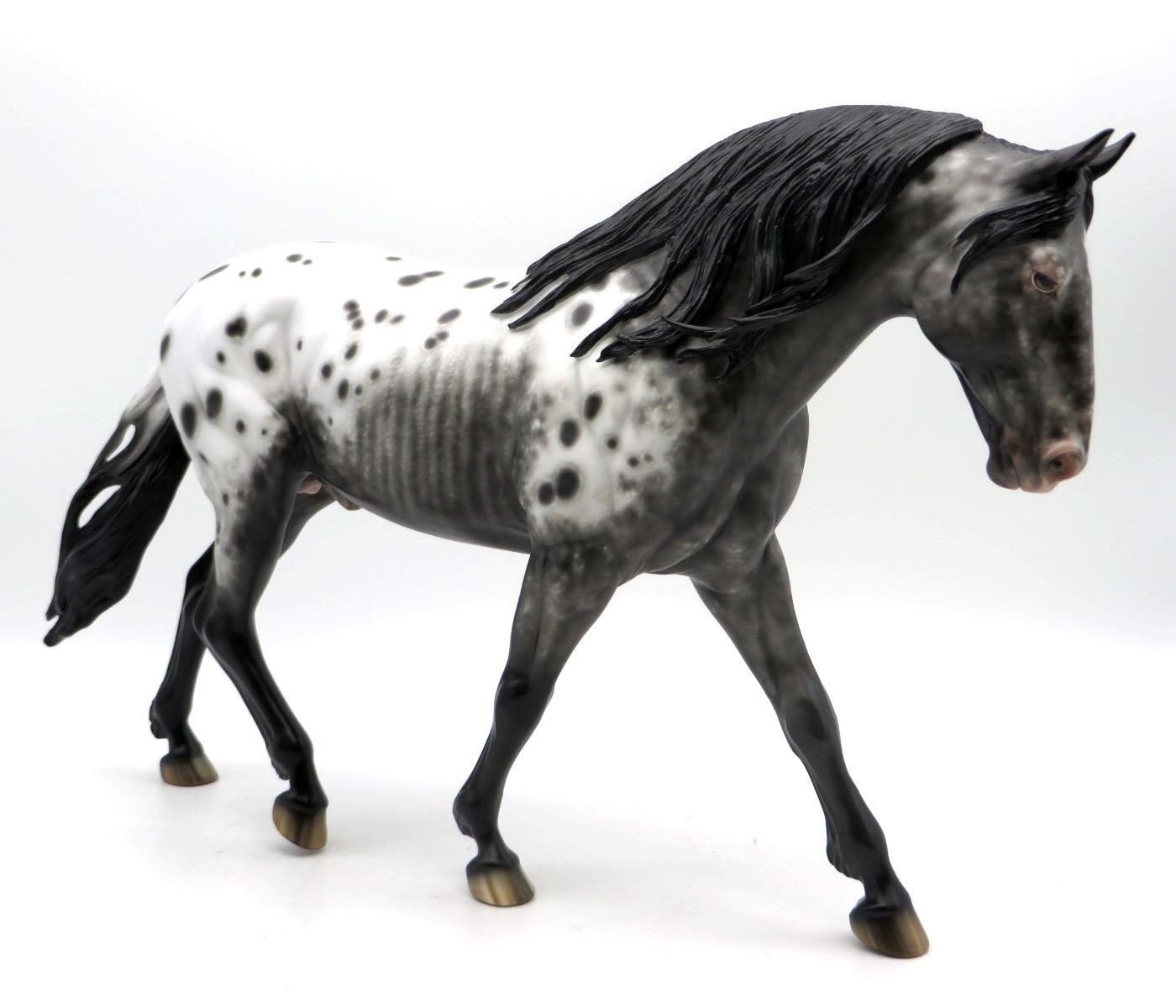 Dom Bedooby Dam-OOAK Black Appaloosa Irish Drafter Painted by Sheryl Leisure 6/13/22