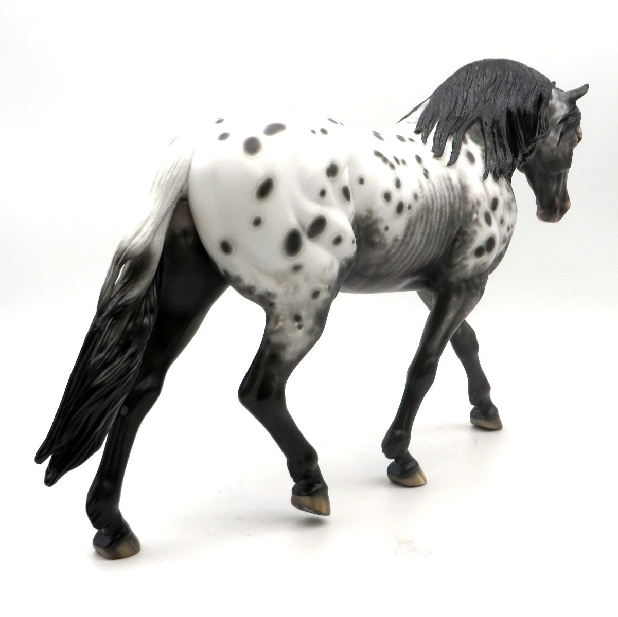 Dom Bedooby Dam-OOAK Black Appaloosa Irish Drafter Painted by Sheryl Leisure 6/13/22