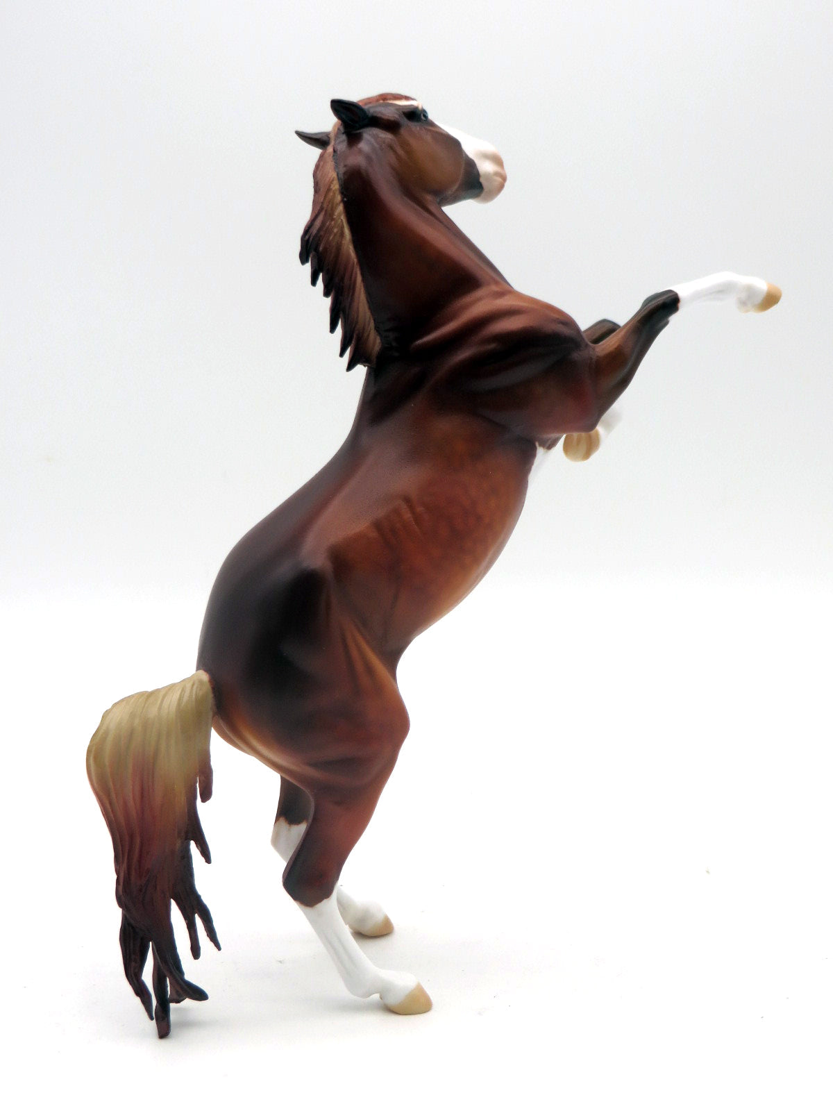 EQ Free Basket - Ashva of the Morning Sun